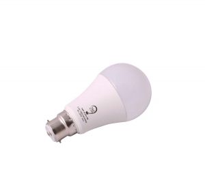 BULB 12W DL B22